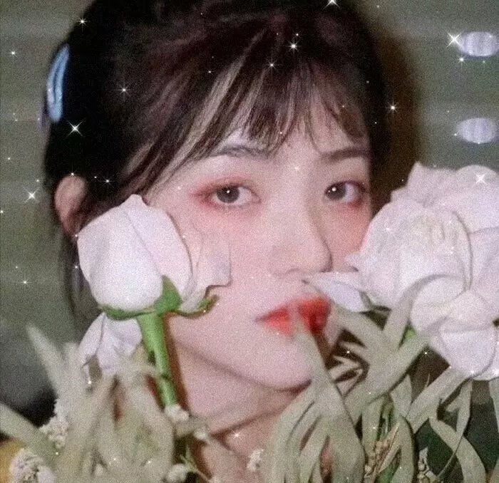 杨雨桐
